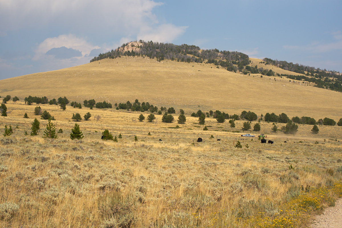 Part 12 Cody, WY to Curtis Gulch, WY 2017082730